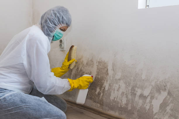 Best Industrial Mold Remediation  in Orida Gulf Coast University, FL