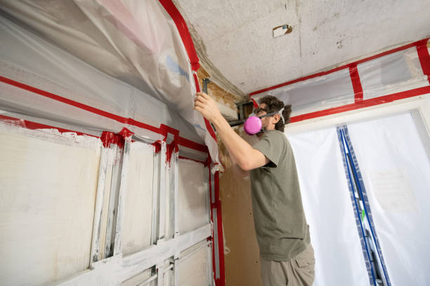 Best Black Mold Removal  in Orida Gulf Coast University, FL