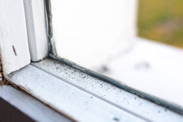 Best HVAC Mold Inspection and Cleaning  in Orida Gulf Coast University, FL