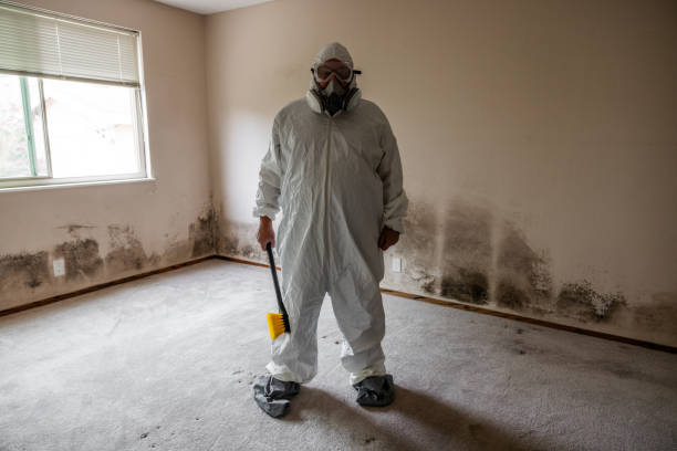 Best Mold Prevention Services  in Orida Gulf Coast University, FL